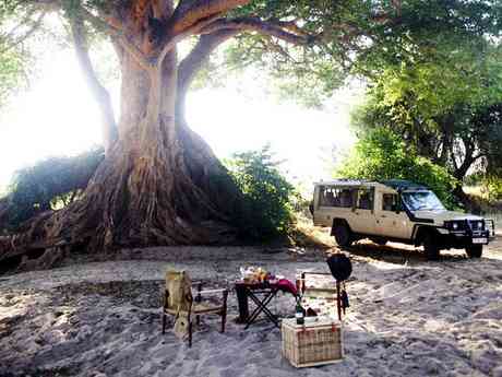 Tarangire Treetops